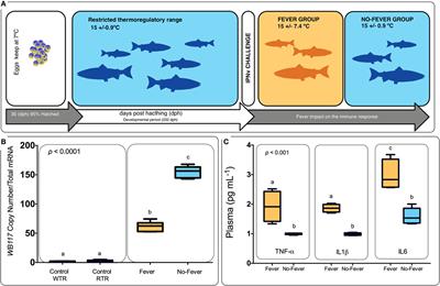 Behavioral Fever Drives Epigenetic Modulation of the Immune Response in Fish